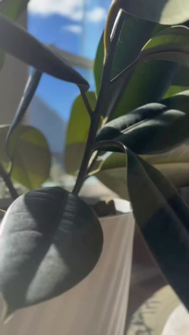 Instagram post by @erikasanchezestrada for ZONLIHOME. Caption reads: ✨ “Zonlihome mattress—luxuriously soft and wrapped....