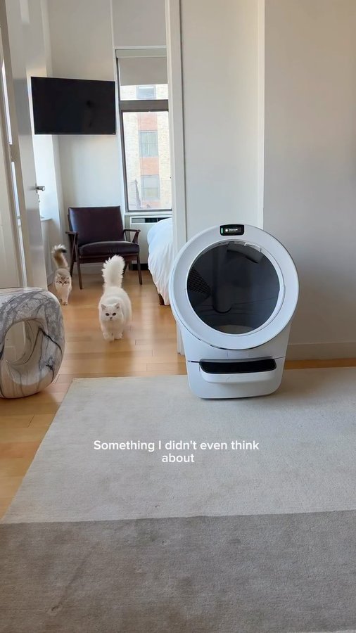 Instagram post by @cleothecitykitty for Litter-Robot. Caption reads: Our litter box is working overtime now that we....