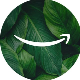 Amazon Finds
