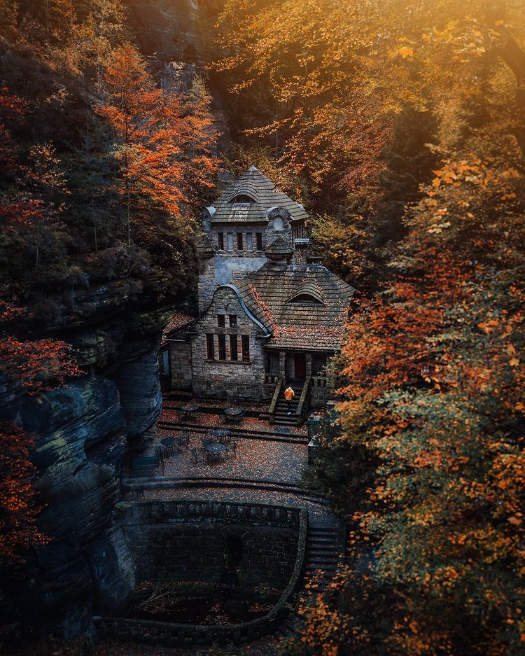 Instagram post by @rosenfeld.mandy for Earth. Caption reads: Autumn is slowly coming! I just discovered this....