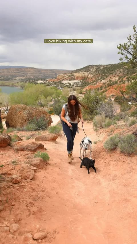 Instagram post by @mywildmeadows for Tractive. Caption reads: [...] #ad We recently upgraded to the new....