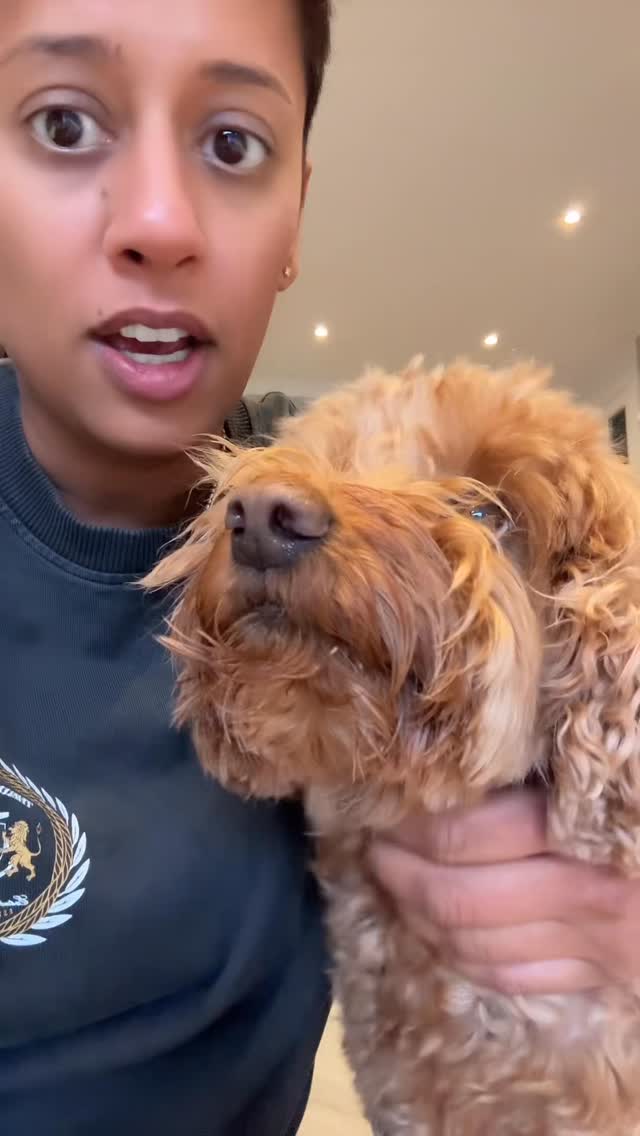 Instagram post by @whatnaveats for Butternut Box. Caption reads: Never did I think that Tilly would do her own food....