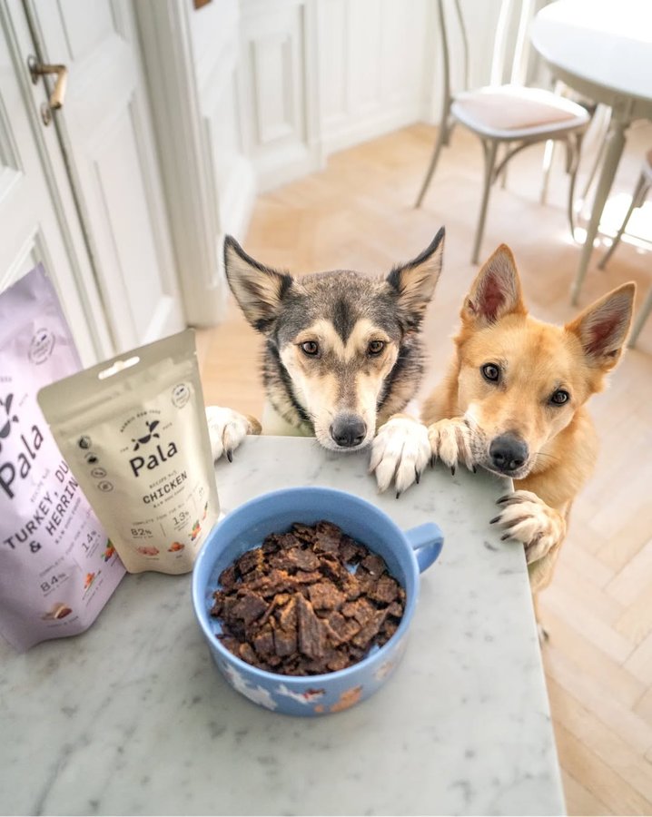 Instagram post by @simplysarek for Pala Pets. Caption reads: Ad| My dogs never beg 😜 

Anytime I open a bag of....