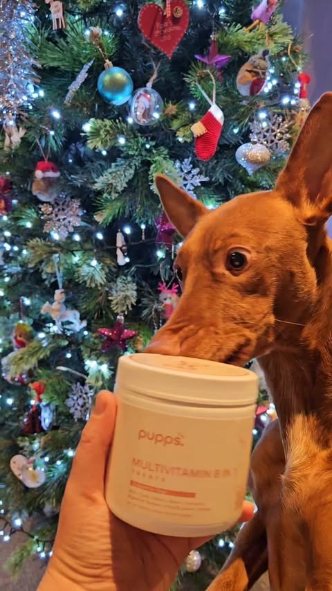 Instagram post by @_3dogs_2cats for Pupps. Caption reads: It's safe to say Pupps multivitamins are a hit....