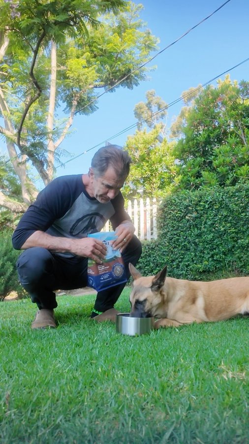 Instagram post by @robertcabral for ZIWI Pet Food. Caption reads: Physical exercise is importantly for me as well as....