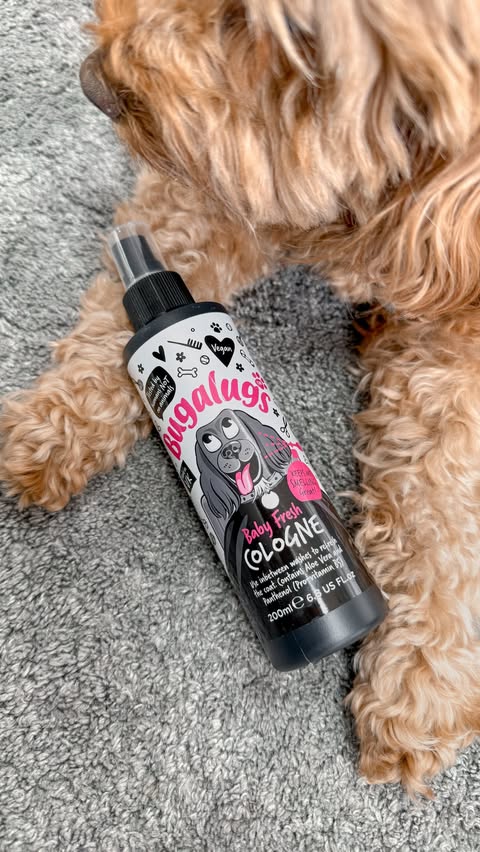 Instagram post by @bellathecavapoo20 for Bugalugs Pet Care. Caption reads: [...] 😍 Baby Fresh is my favourite from....