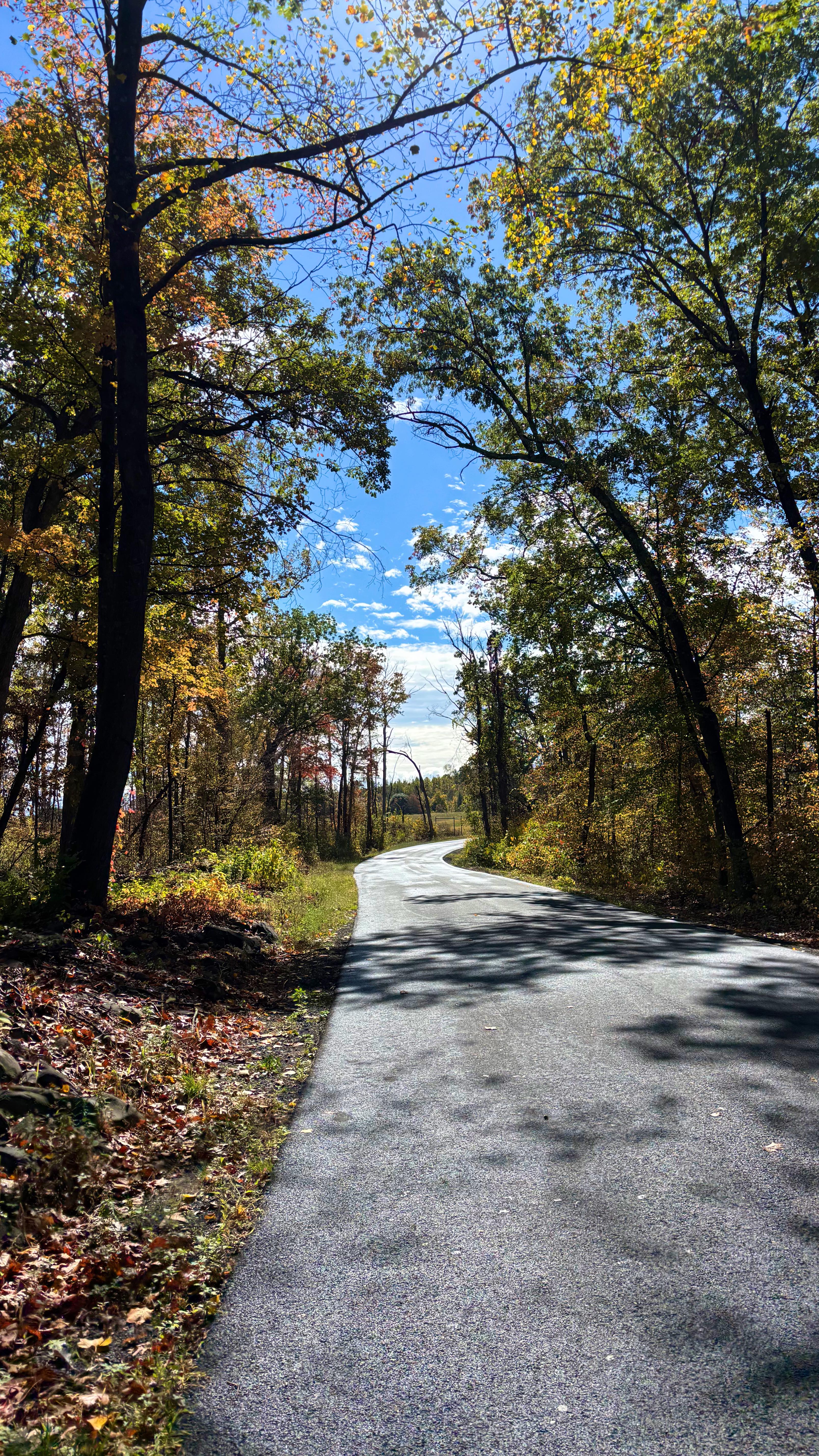 Instagram post by @abbiekonnick for Clean Simple Eats. Caption reads: We have to hang out more when I’m not in my....