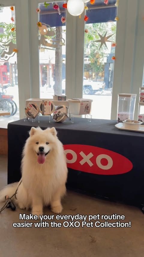 Instagram post by @biffthesamoyed for OXO. Caption reads: OXO is bringing ✨extra✨ back… #ad We were [...].