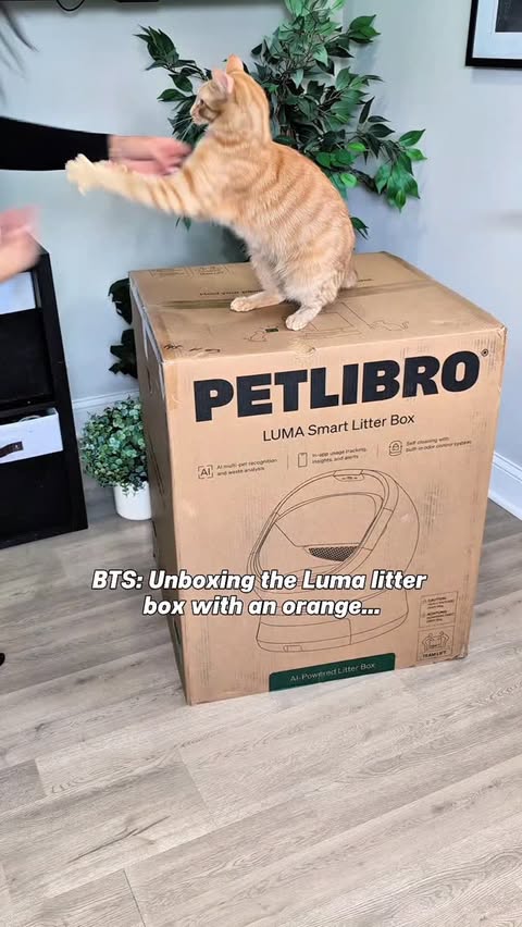Instagram post by @itscookie.cat for PETLIBRO. Caption reads: [...] for 15% off when you getting from Petlibro.....