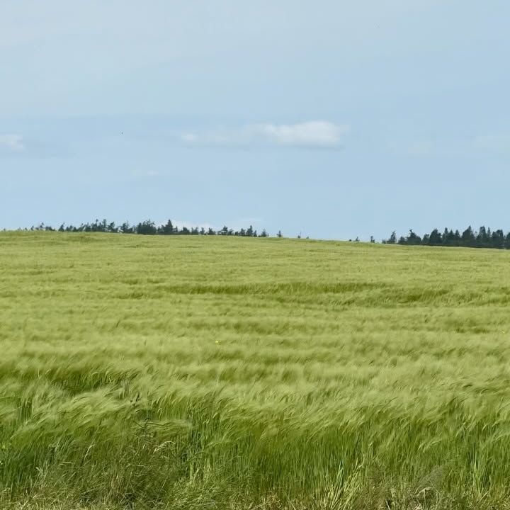 Instagram post by @cationz for Snow Peak. Caption reads: <3333333.