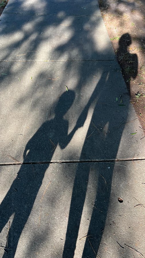 Instagram post by @haydenloalbo for Piccalio. Caption reads: [...] 🤎 the Foldable Toddler Tower from @piccalio....