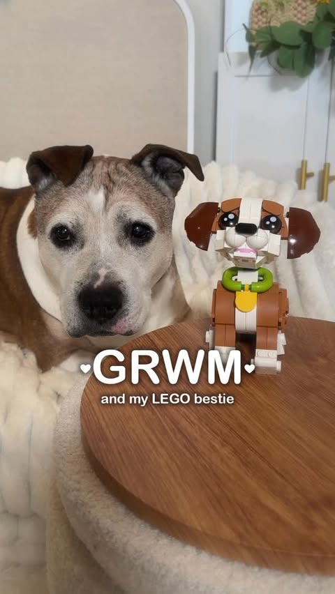Instagram post by @sookieandivy for LEGO. Caption reads: GRWM and my @lego animal bestie 👯‍♀️....
