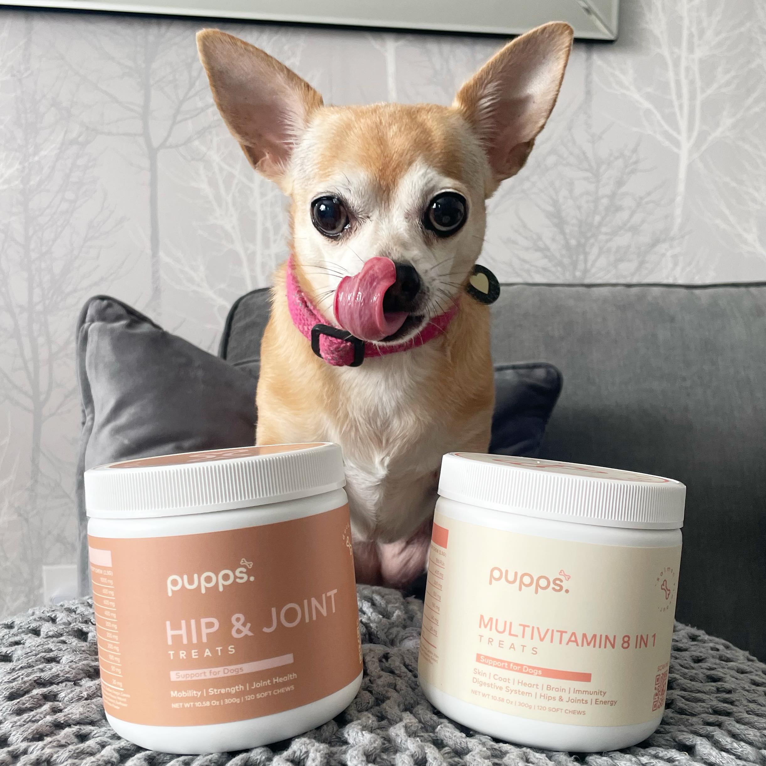 Instagram post by @streets_at_sixteen for Pupps. Caption reads: [...] the right support! She’s started taking....