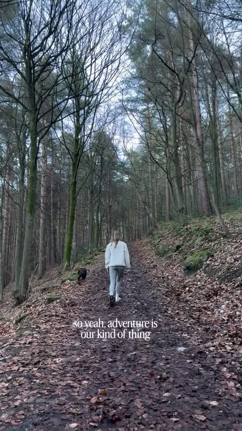 Instagram post by @showcockerbuzz for Tractive. Caption reads: off-lead freedom + knowing he’s safe = the perfect....