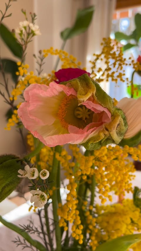 Instagram post by @lottaaliving for SoLebIch.de. Caption reads: Perfekter Start ins (fast) Wochenende 🩷 #poppys....