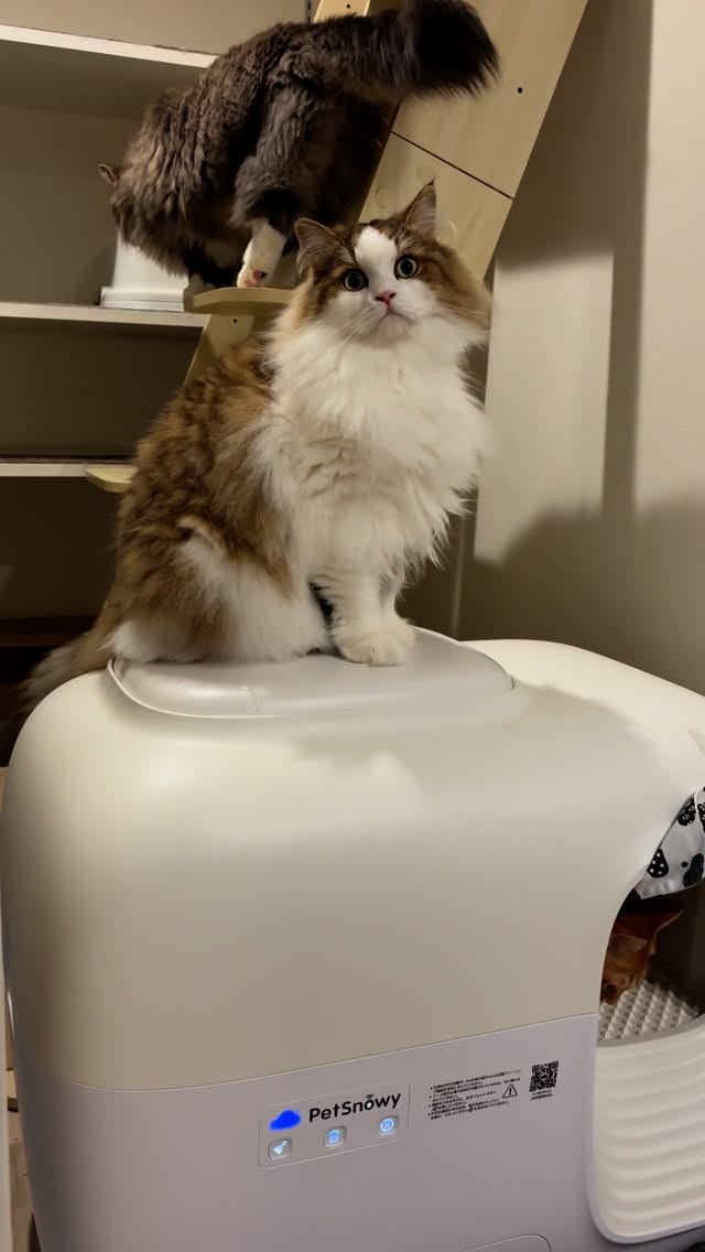 Instagram post by @nikonekokazoku for PetSnowy. Caption reads: petsnowy 全自動トイレは自動でお掃除なのでいつもキレイを保てます。 [...].