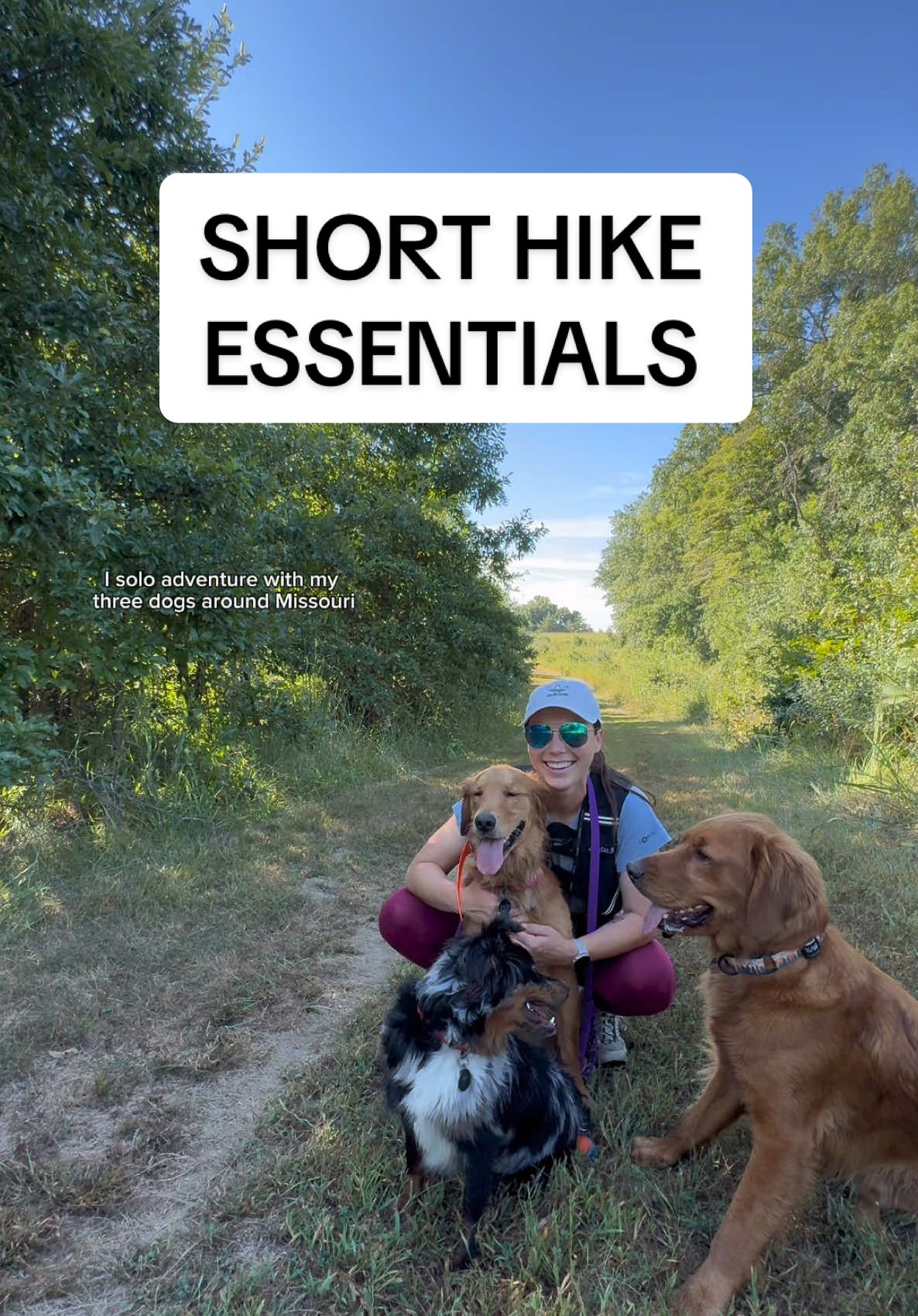 TikTok post by @tate_and_ellie for Wondercide. Caption reads: [...] @All American Canine TREAT SHOP @Wondercide....