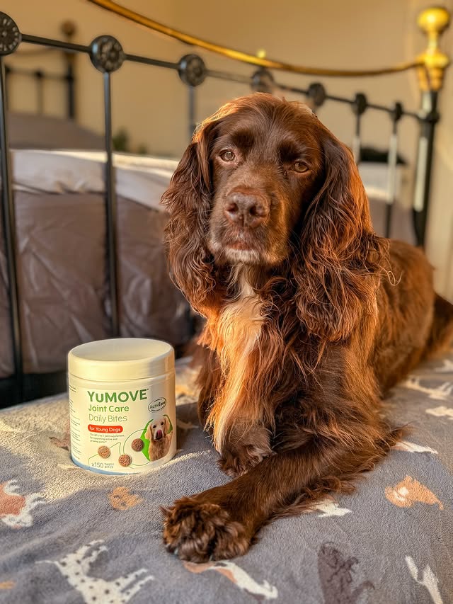 Instagram post by @herbie.werbie for YuMOVE. Caption reads: [...] To help me feel my best I take @yumove_uk....