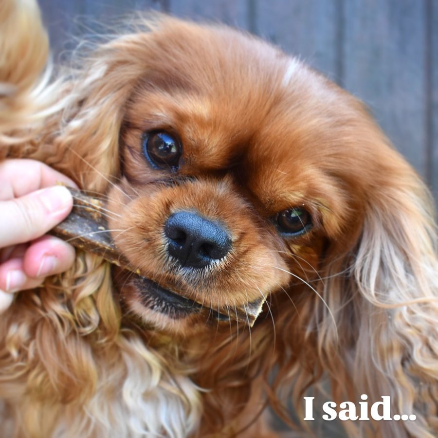 Instagram post by @cutecosmo_thecavalier for ESSENTIAL FOODS. Caption reads: [...] Enio! | Ambassador advert |....