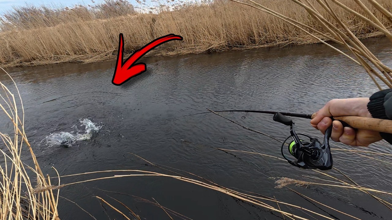 YouTube post by @primanki for fas.st. Caption reads: This happened on this very river!!! Two days in a....