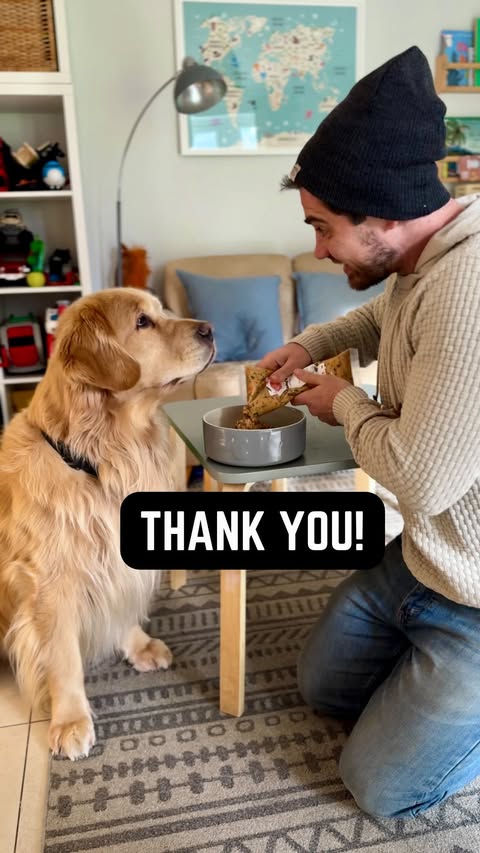 Instagram post by @marleyinnyc for The Farmer's Dog. Caption reads: Thankful for the best hugs in the world and....