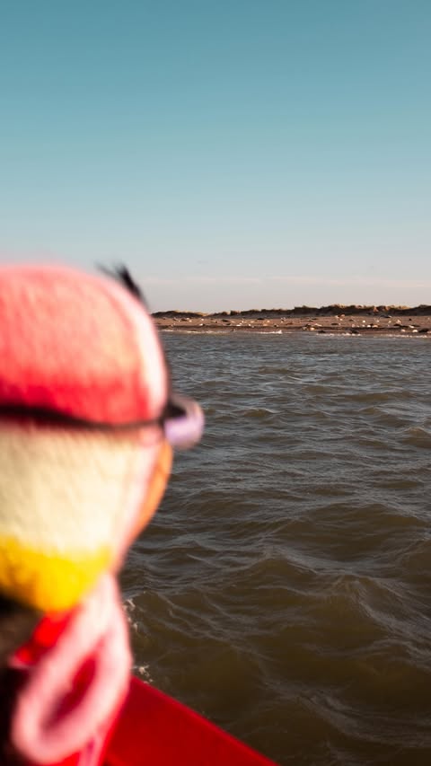 Instagram post by @izzy_manuel for Monos. Caption reads: Why do us Brits always feel like we need to abroad....