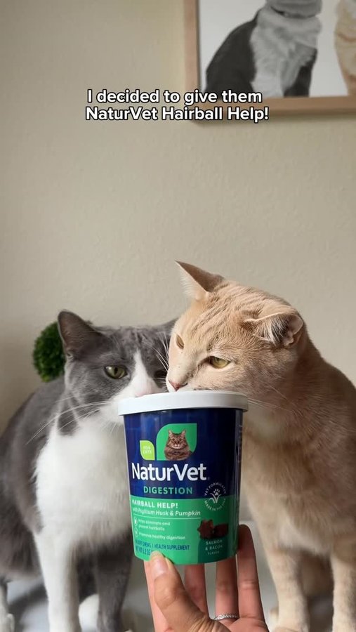 Instagram post by @whiskeyandstormy for NaturVet. Caption reads: [...] hairballs happen 😿🐾. But thanks to....