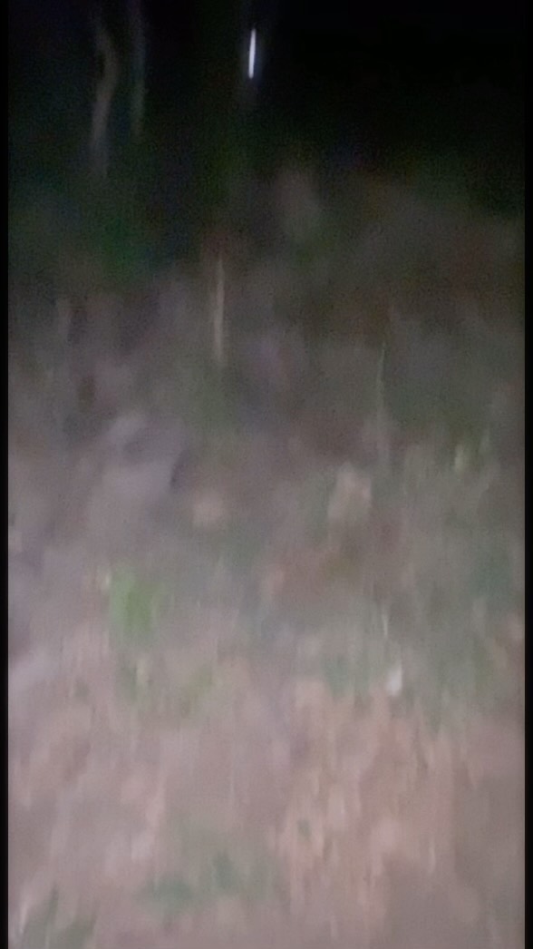 Instagram post by @333eac for Eyemoody. Caption reads: [...] 𖤍𓌜 𓂋
•
•
-my contacts r from....