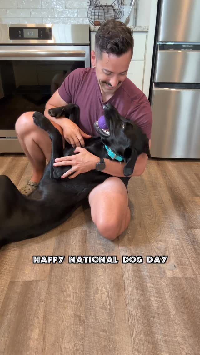 Instagram post by @butterworthdasyrup for The Farmer's Dog. Caption reads: Happy National Dog Day!

The Farmer’s Dog keeps....