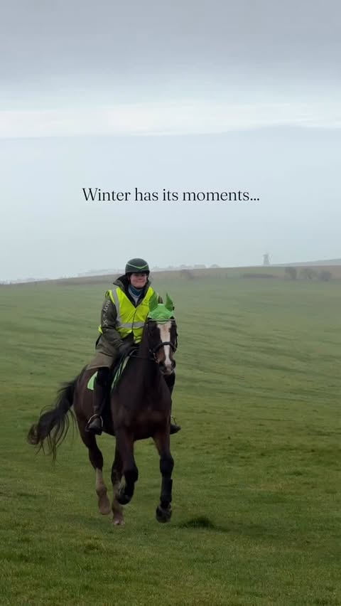 Instagram post by @canterring for Shires Equestrian. Caption reads: Pretending I wasn’t complaining about the weather....