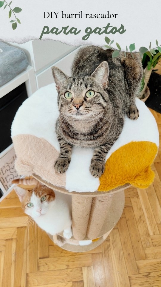 Instagram post by @cuatrogatos_4hermanos for Joom. Caption reads: DIY para gatos ❤️

Acompáñanos a hacer este barril....