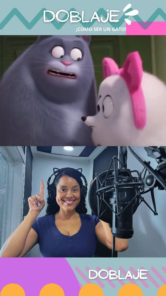 Instagram post by @sonya.pb for Pixar. Caption reads: 😹🐶 La firu y la misha 🤣
#PetsDominicano.