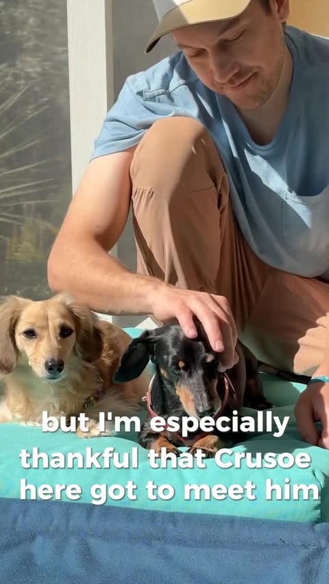 Instagram post by @crusoe_dachshund for The Farmer's Dog. Caption reads: [...] guys (and 2 gals too!). Feeding....