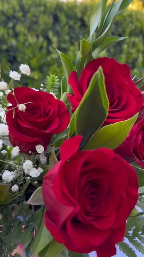 Instagram post by @heliohoney for Cheeky Bonsai. Caption reads: [...] change lives okaaay!!
these @cheekybonsai....