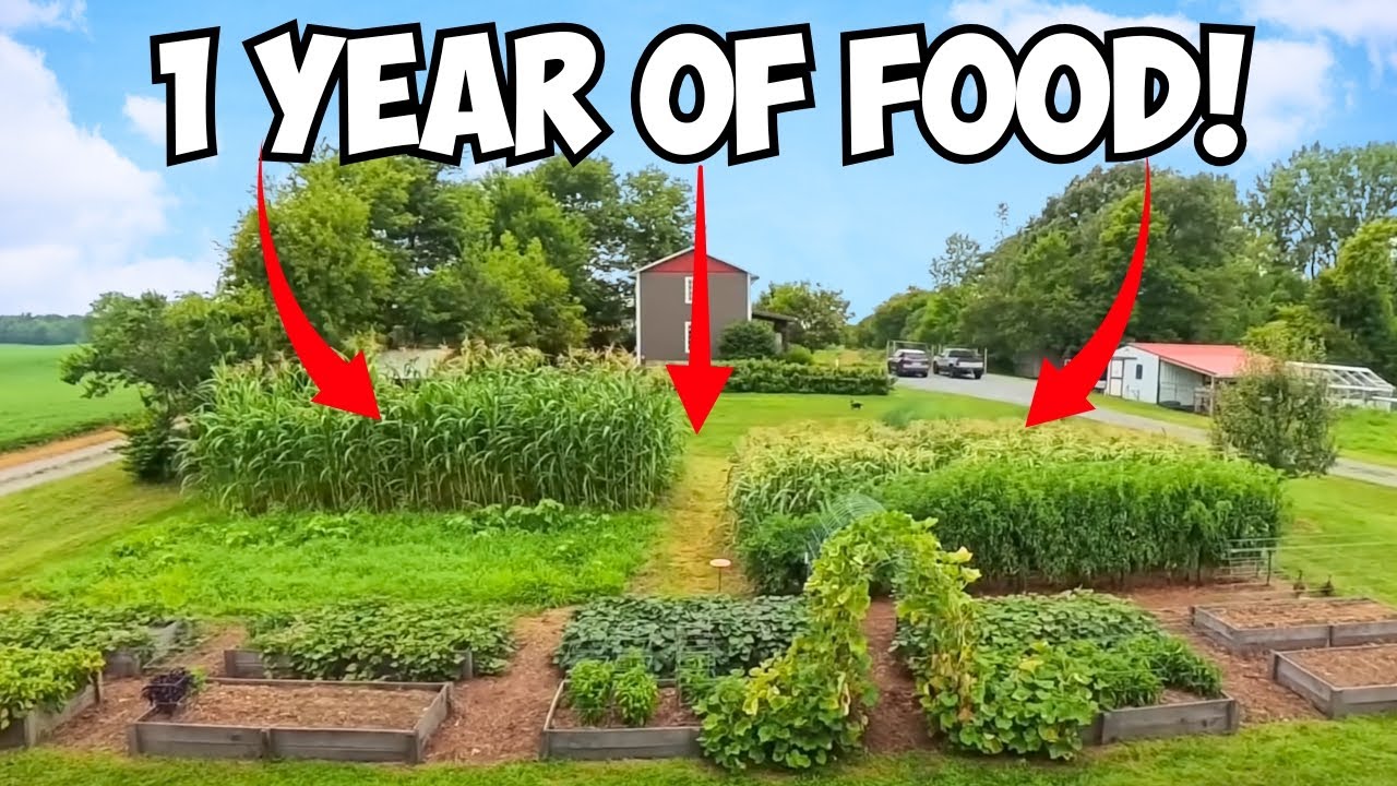 YouTube post by @AnneofAllTrades for Jackery. Caption reads: [...] to feed your family! Stay ready with Jackery....