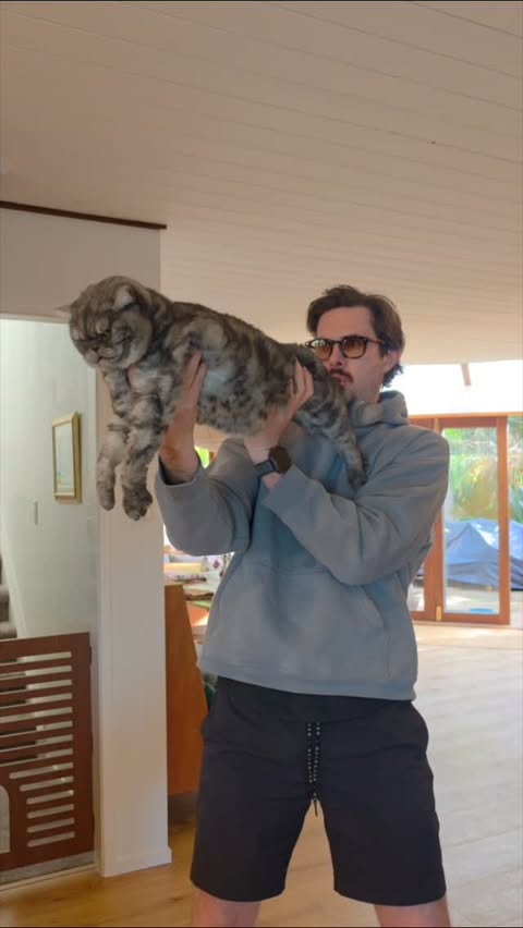 Instagram post by @clintstagramm for Fussy Cat NZ. Caption reads: How fast you could win a Fussy Cat delivery if you....