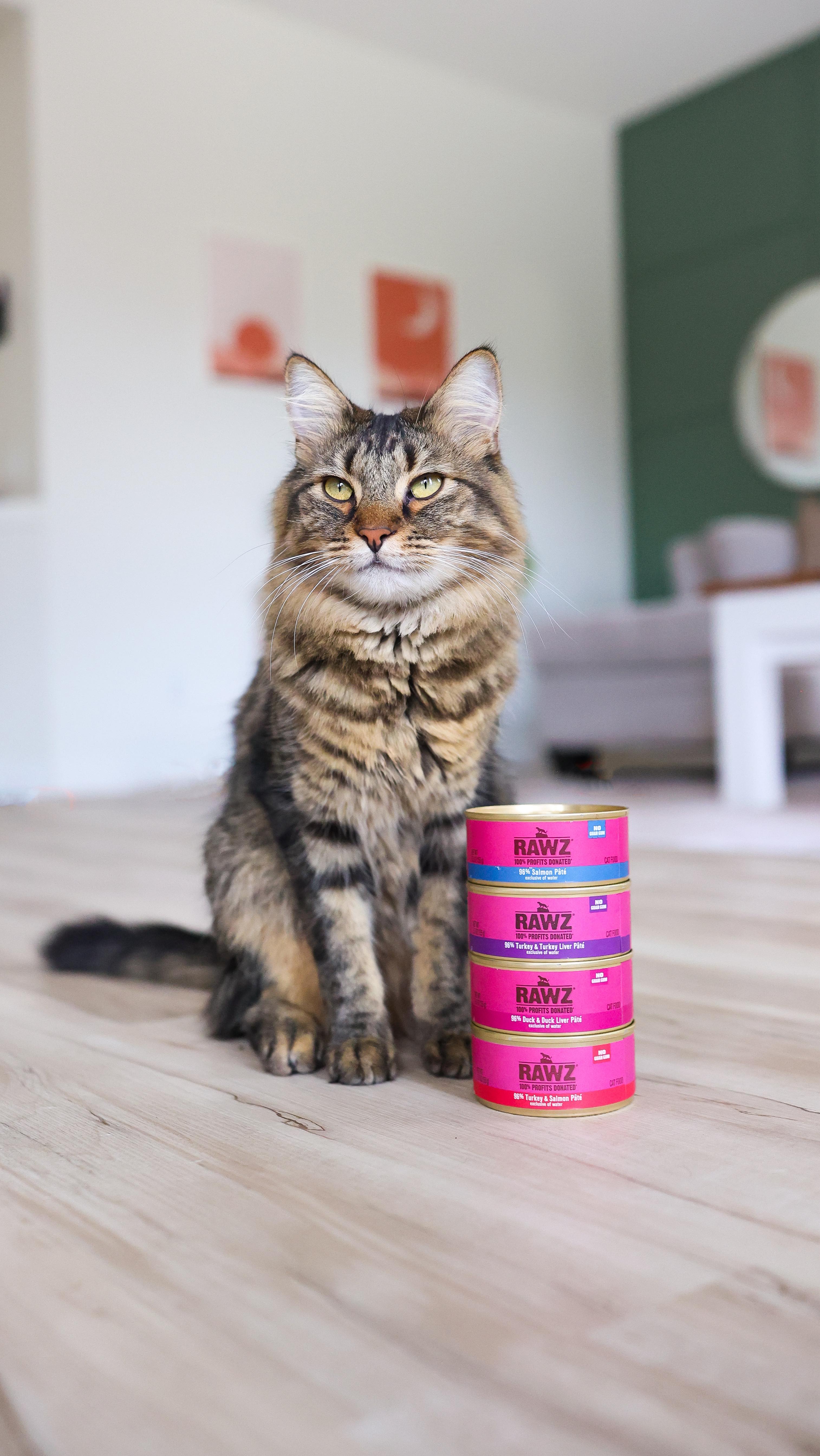 Instagram post by @mywildmeadows for RAWZ Natural Pet Food. Caption reads: Not all cat food is created equal, and this one’s....