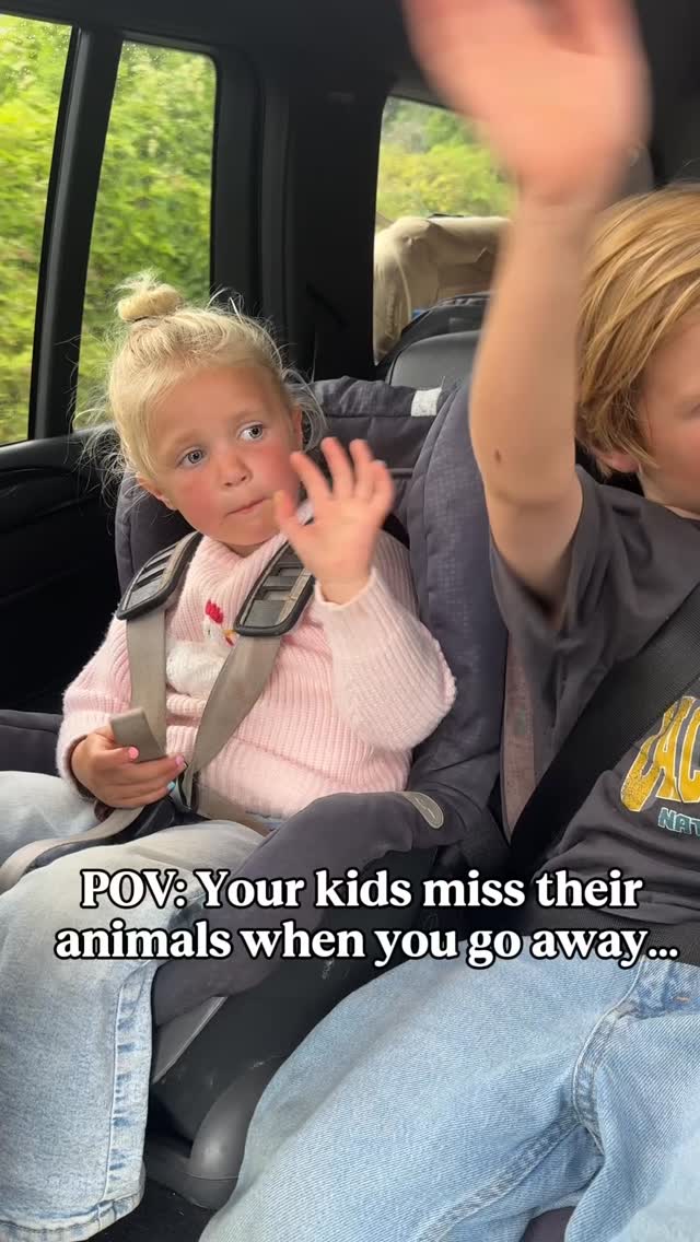Instagram post by @thebraleyfamily for MooseToys. Caption reads: The kids hate ever leaving the animals behind and....