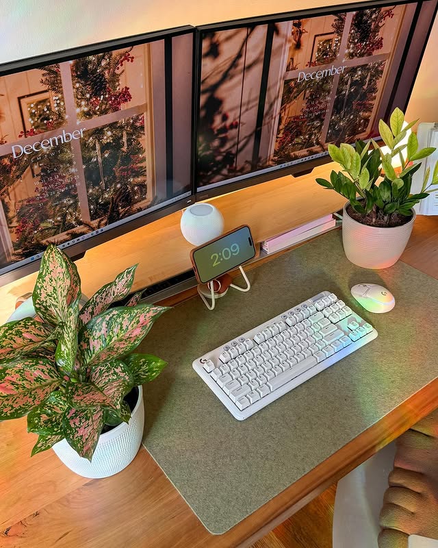 Instagram post by @cozy.games for Costa Farms. Caption reads: [...] for a little cozy setup refresh with....