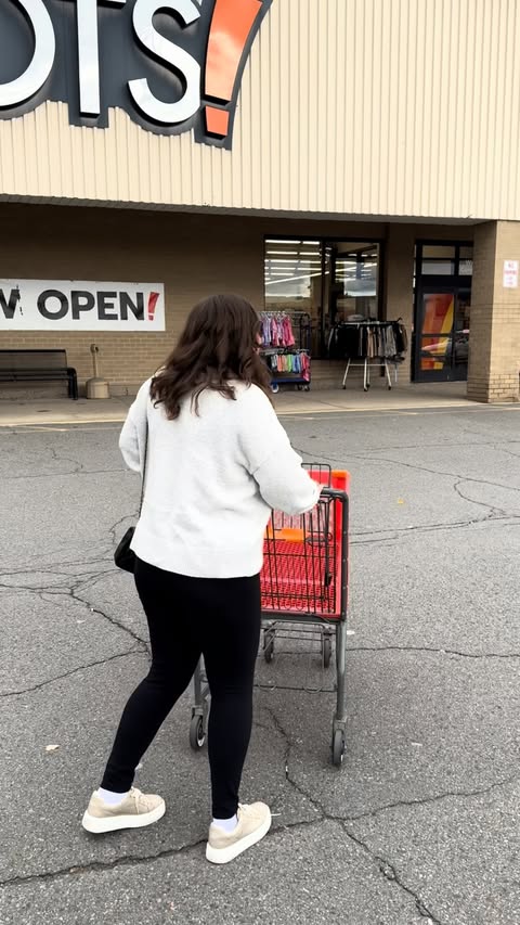 Instagram post by @danisings for biglots. Caption reads: Take a stroll through our freshly reimagined Big....