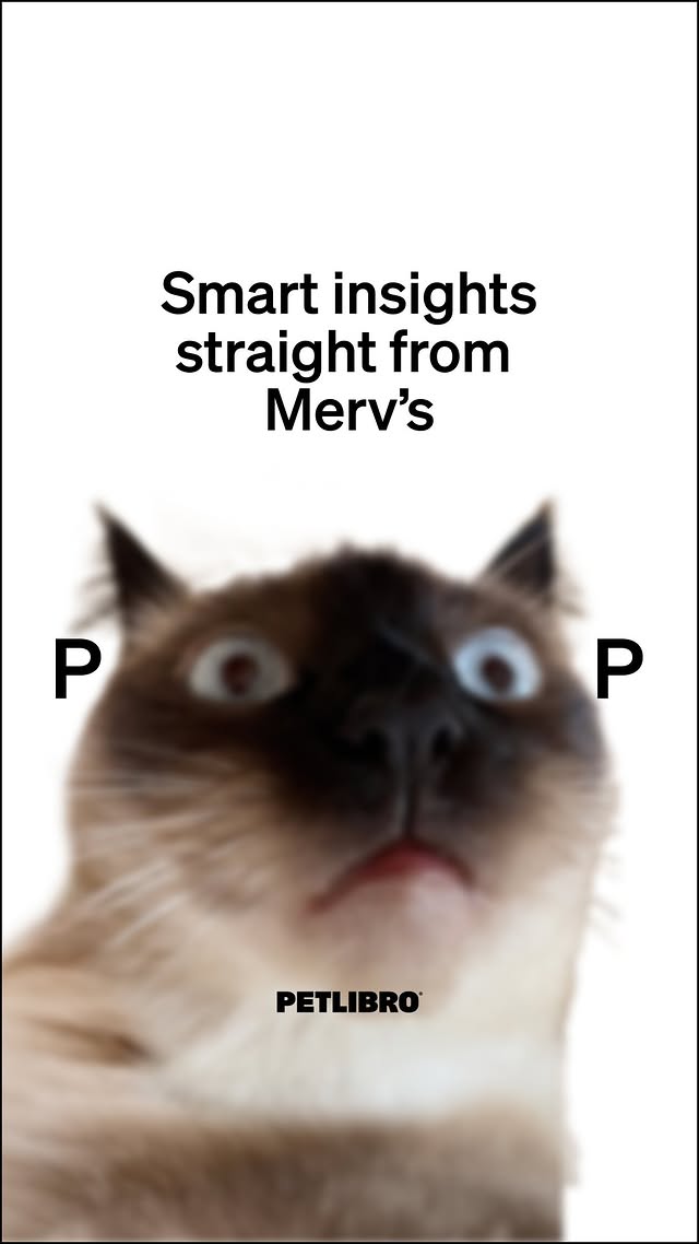 Instagram post by @mervthepet for Petlibro. Caption reads: [...] POOP,HOW MuCH??? 💩 We partnered with....