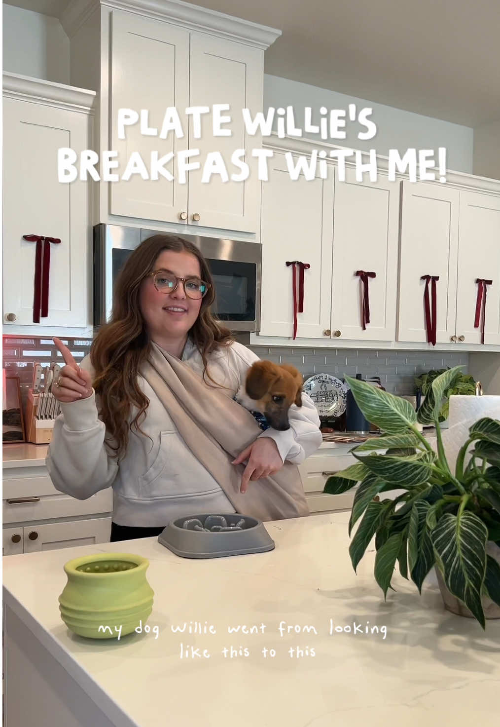 TikTok post by @madisondawnmauch for Native Pet. Caption reads: [...] him!  @Open Farm Pet (MADISONDM) linked in....