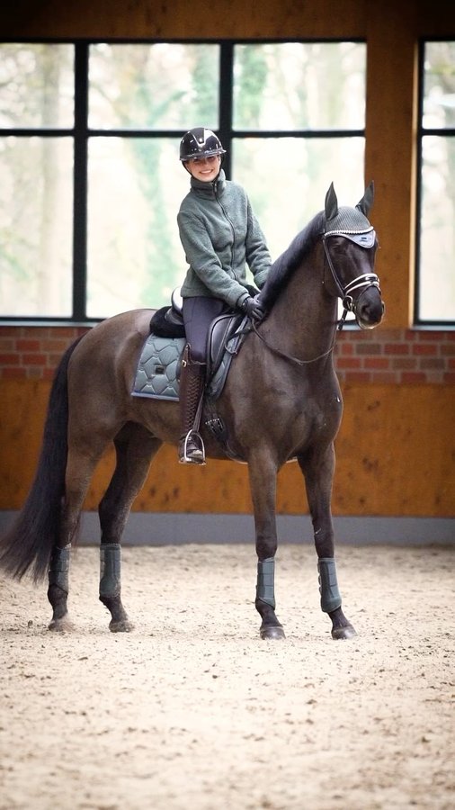 Instagram post by @inleobo for EQUESTRIAN STOCKHOLM. Caption reads: [...] #esstockholm #avenuegreen....