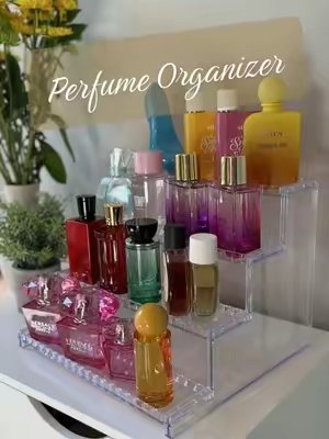TikTok post by @mandylewis87 for Lifewit. Caption reads: [...] organized!! No sliding off with this....