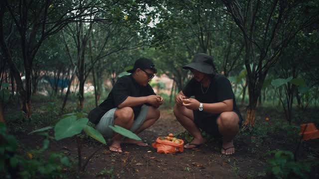 Instagram post by @haighani for Tokopedia. Caption reads: Picking fresh oranges and enjoying the taste....