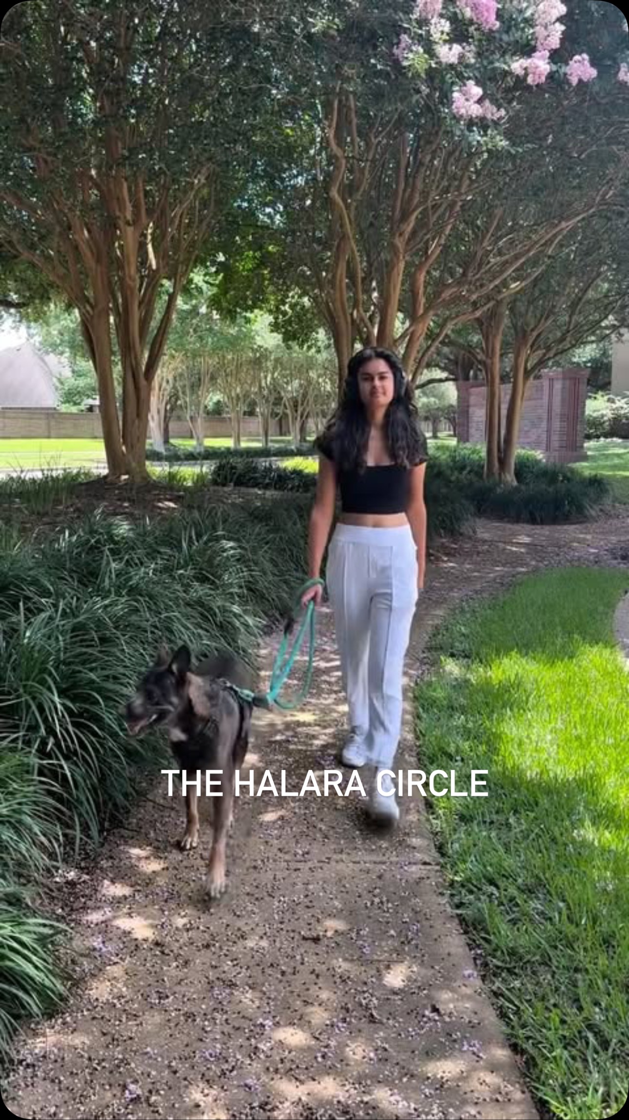 Instagram post by @fouziathebliss for Halara. Caption reads: Halara fam — it’s that time again! 
The Halara....