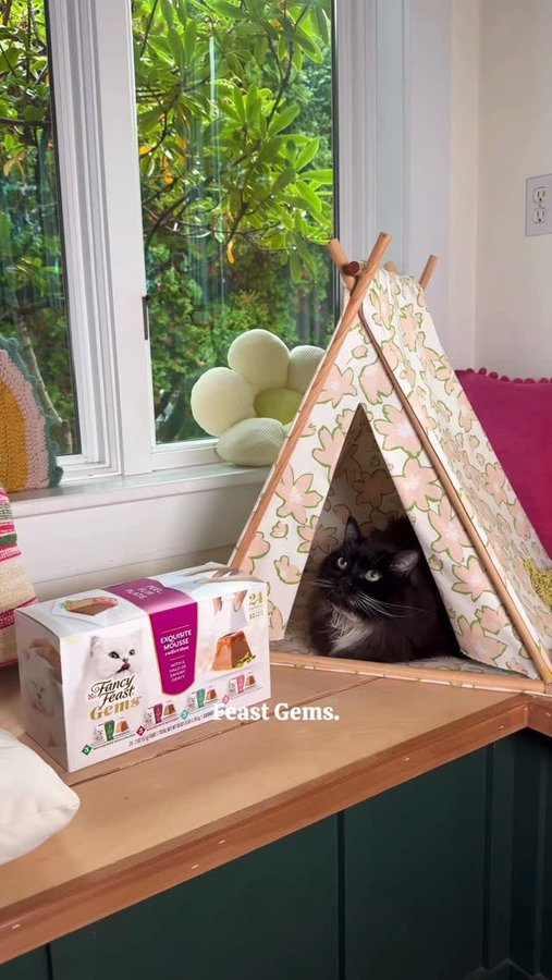 Instagram post by @annikamarieee for Fancy Feast. Caption reads: #ad From a scruffy little kitten to the happiest,....