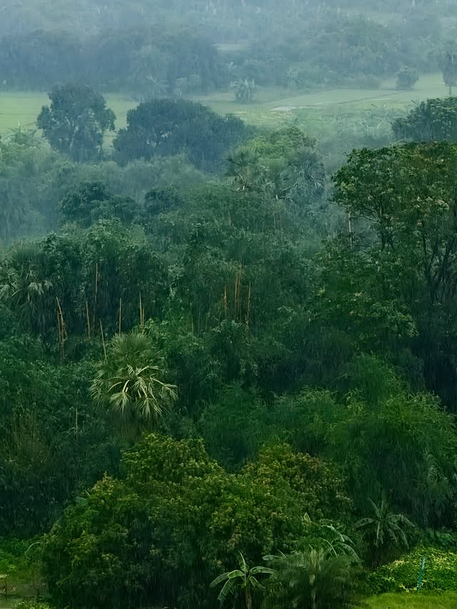 Instagram post by @feashts for Google Pixel. Caption reads: [...] countryside, my home Shot with :....