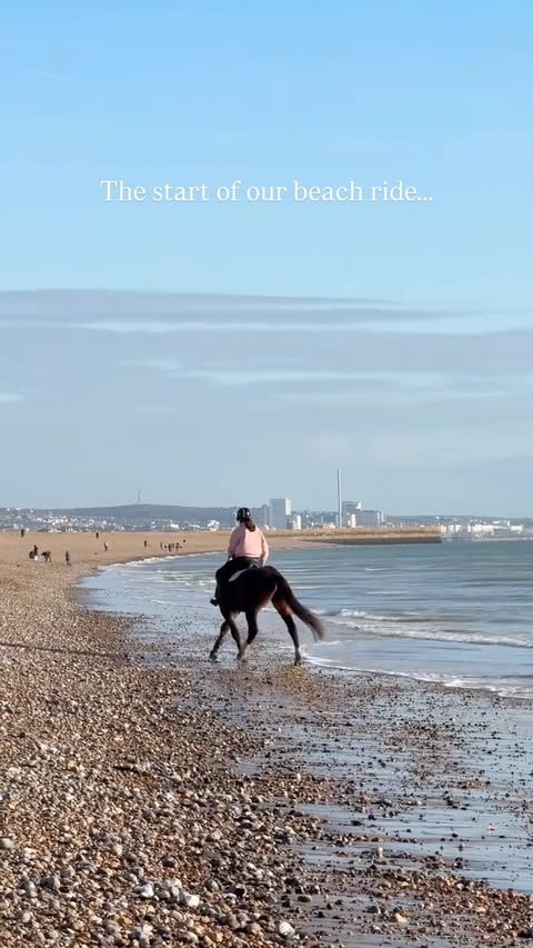 Instagram post by @canterring for Charles Owen. Caption reads: The best boy ❤️
(Ad gifted items)

He honestly....