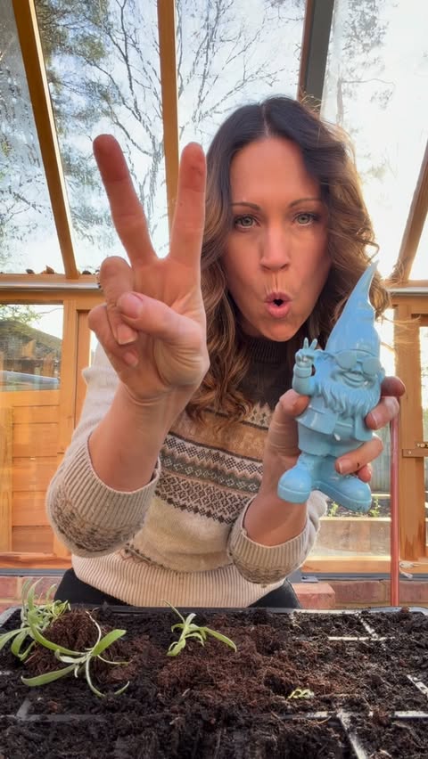 Instagram post by @augusts_garden for FAIRFAX & FAVOR. Caption reads: What’s the difference between thinning out and....